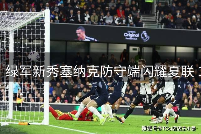 绿军新秀塞纳克防守端闪耀夏联 19岁长臂怪能否站稳轮换？